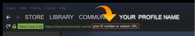 Steam Interface 2015 - Steam URL address bar  Steam Interface 2015 - Steam URL address bar